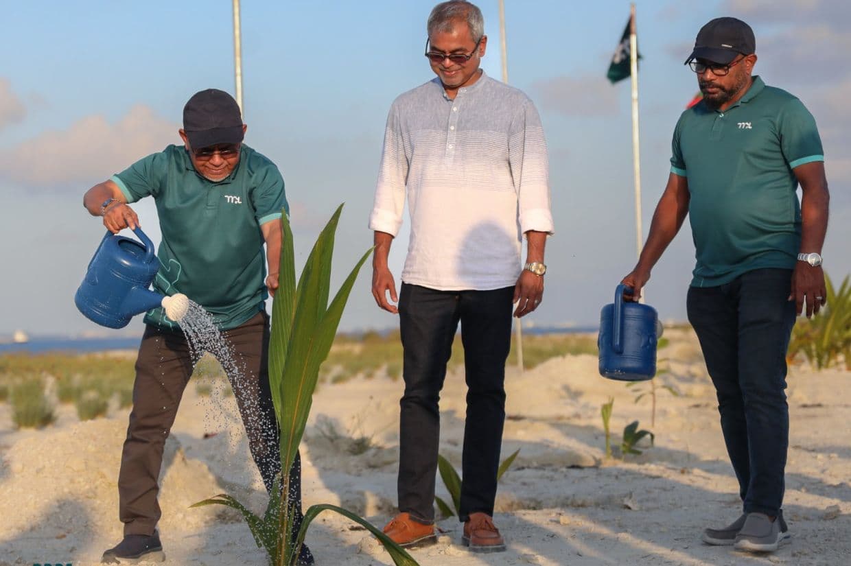 ގަސް އިންދުމުގެ ޙަރަކާތުގެ ތެރެއިން/ ފޮޓޯ: އެމްޕީއެލް