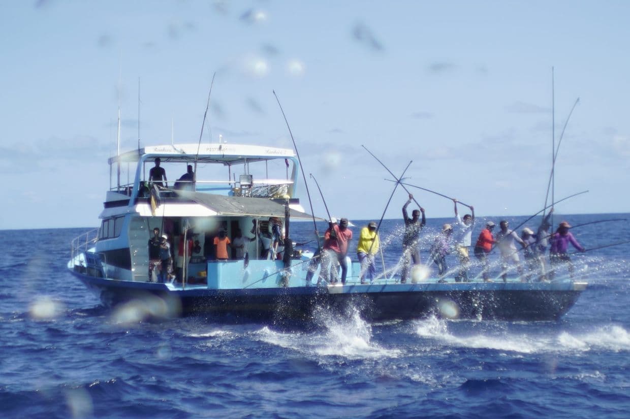 މިފްކޯއިން މަސްވެރިންނަށް ނުދެވިހުރި 22 މިލިއަން ރުފިޔާ ޖަމާކޮށްދީފި