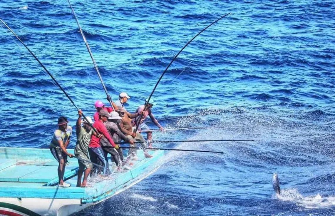 ދޯންޏަކުން މަސް ބާނަނީ: މި މަހުގެ 20 ވަނަ ދުވަހު ކިރުވި މަހަށް 3.5 މިލިޔަން ރުފިޔާ ވަނީ ޖަމާކޮށްދީފަ.