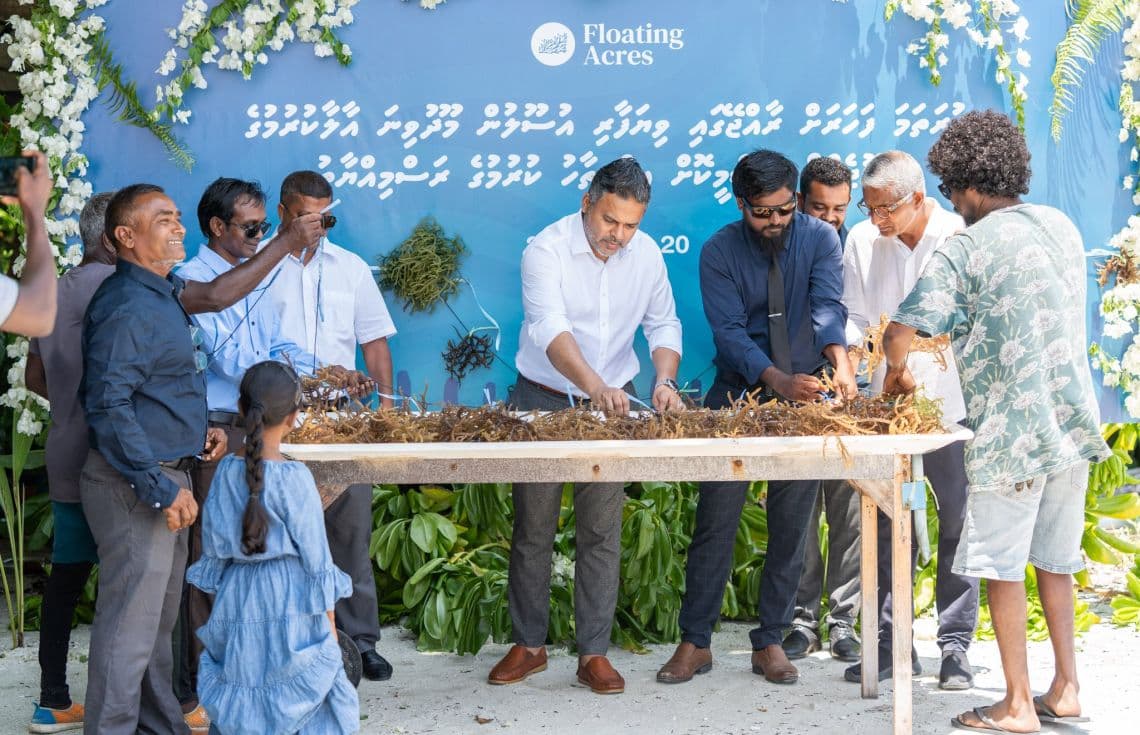ރާއްޖޭގައި ފުރަތަމަ ފަހަރަށް ވިޔަފާރި އުސޫލުން މޫދުވިނަ އާލާކުރަން ފަށައިފި