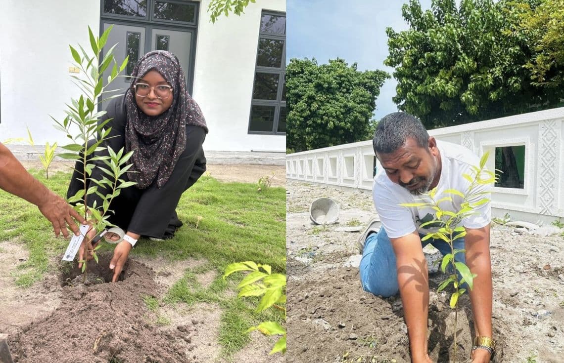 ދިގުރަށުގައި ކުރިއަށް ގެންދިޔަ ގަސް އިންދުމުގެ ޕްރޮގްރާމް. / ފޮޓޯ: ފަތުތުވެރިކަމާއި ތިމާވެއްޓާބެހޭ ވުޒާރާ
