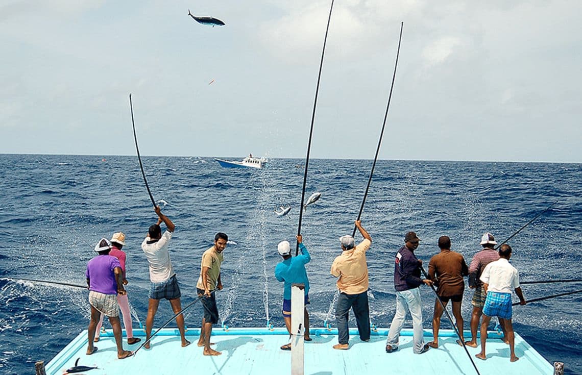މިމަހުގެ މިހާތަނަށް މަސްވެރިންނަށް 25 މިލިޔަން ރުފިޔާ ދޫކޮށްފި