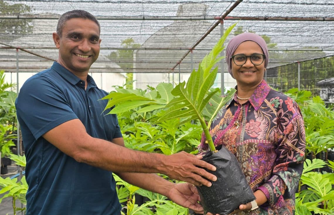 ދ. ހަނިމާދޫގައި ބަނބުކެޔޮ ގަސް އިންދުމުގެ ހަރަކާތް ފެށުމަށް ބޭއްވި ރަސްމިއްޔާތު / ފޮޓޯ: ދަނޑުވެރިކަމާ ބެހޭ މިނިސްޓްރީ
