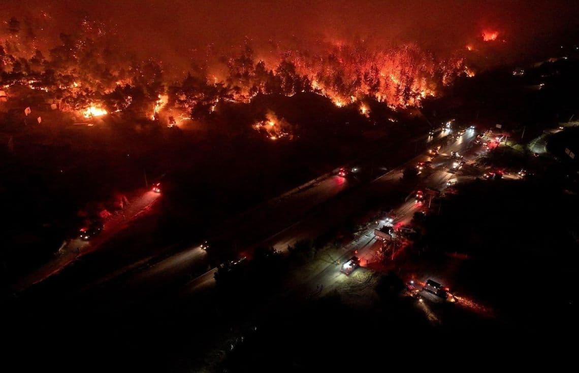 ތުރްކީވިލާތުގެ އިޒްމީރު ޖަންގަލީގައި ރޯވެ އަނދަނީ.