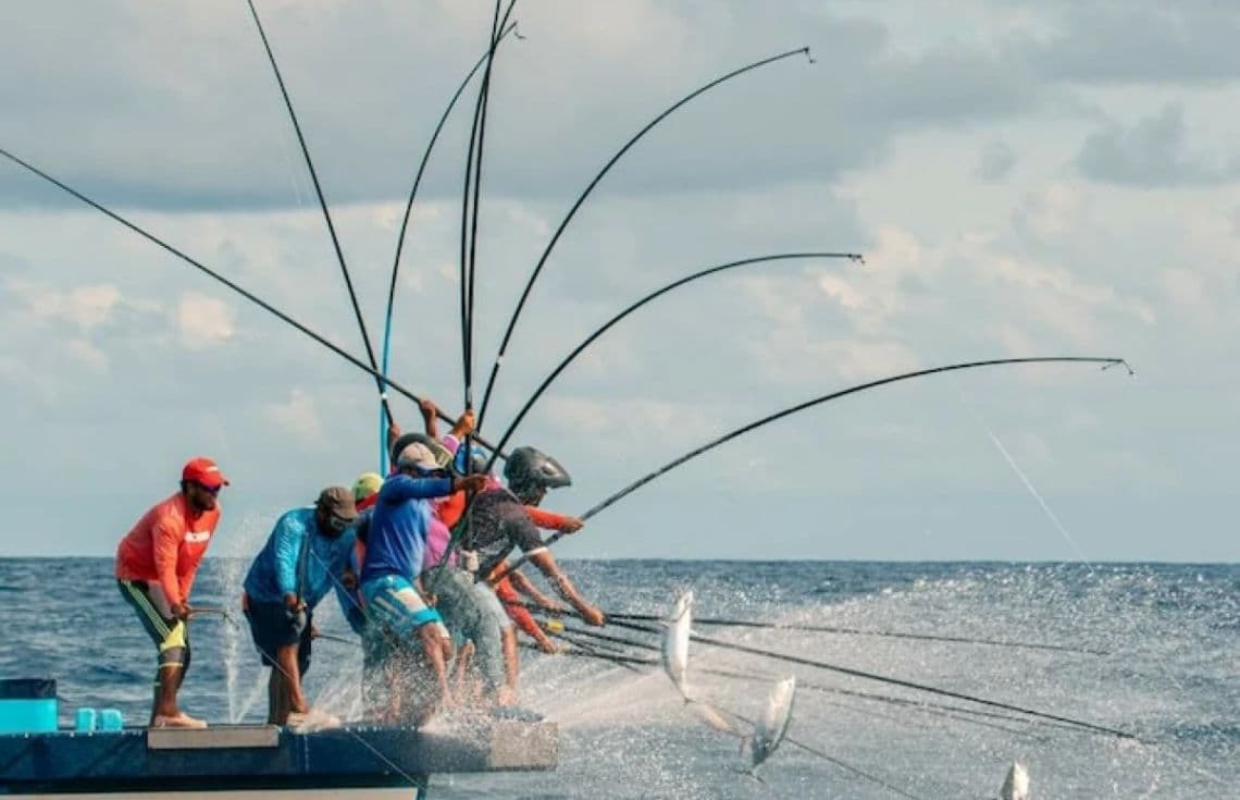 ދިވެހި މަސްވެރިންތަކެއް.--ފޮޓޯ:އެންސިސް ފިޝަރީސް