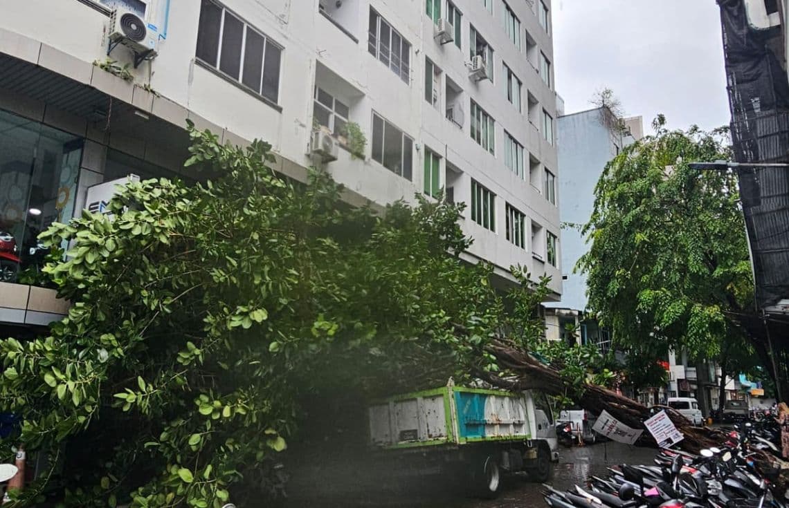 ގަޑިބުރު ހުރި ސަރަހައްދަށް ވެއްޓުނު ގަސް: ފޮޓޯ/ އެކްސިޑެންޓްސް އިން މޯލްޑިވްސް (އެކްސް)----