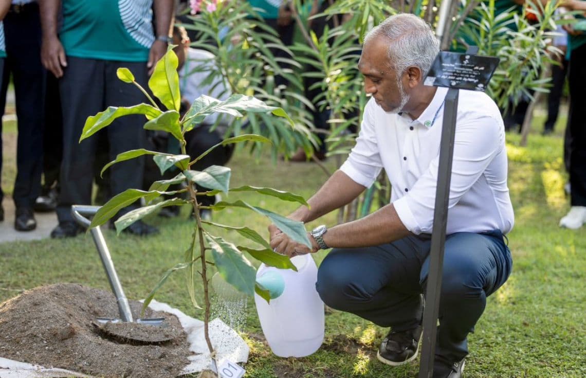 ތިމާވެށީގެ ދުވަހާ ގުޅިގެން ފަސް މިލިއަން ގަސް ހެއްދުމުގެ ޕުރޮގްރާމް އިފްތިތާހުކޮށްދެއްވުމުގެ ތެރެއިން. ކާނާގެ ޔަގީންކަން ގާއިމުކުރެވޭ ވަރަށް ދަނޑުވެރިކަން ފުޅާކުރުމަކީ އުއްމީދެއް ކަމަށް ރައީސް ވިދާޅުވި--- ފޮޓޯ: އެކްސް (ހައުސިން މިނިސްޓްރީ)