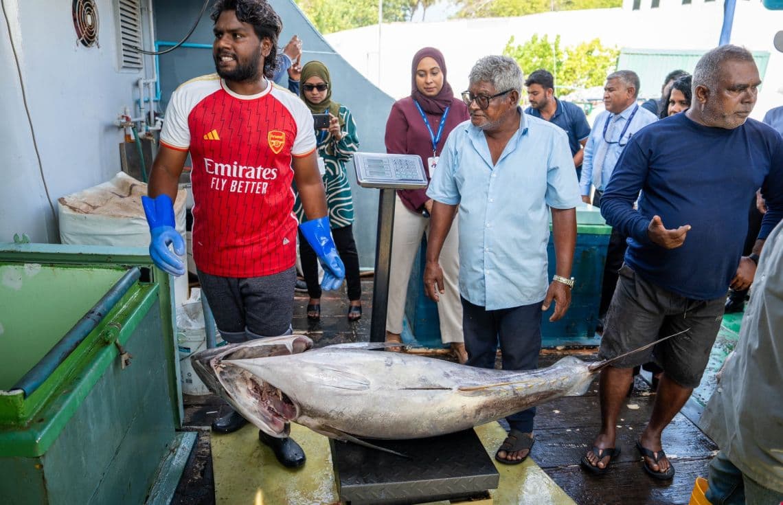 ކަނޑުއޮތްގިރި އަލުން އަނބުރާ އޮޕަރޭޝަނަށް ގެނެސް، މިފްކޯއަށް ރަސްމީކޮށް ބޮޑު ކަންނެލި ގަންނަން ފެށުން--- ފޮޓޯ: ފިޝަރީޒް މިނިސްޓްރީ