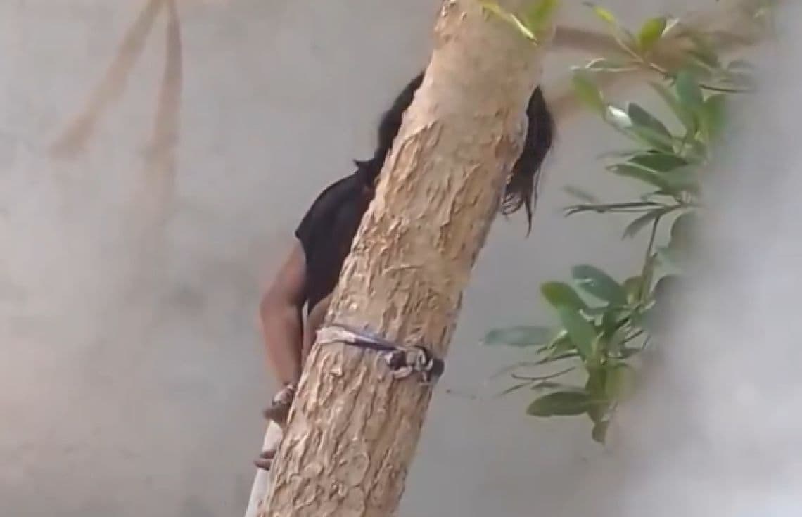 8 އަހަރުގެ އަންހެން ކުއްޖަކު ގަހެއްގައި ބަނދެ އަނިޔާކުރި މައްސަލައެއް ފުލުހުން ބަލަން ފަށައިފި