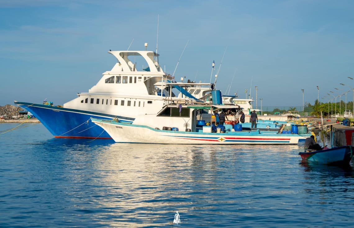 މަސްދޯނިތަކެއް ރަށެއްގެ ބަނދަރުގައި އަޅާފައި. / ފޮޓ: ޒުވާން މަސްވެރިޔާ