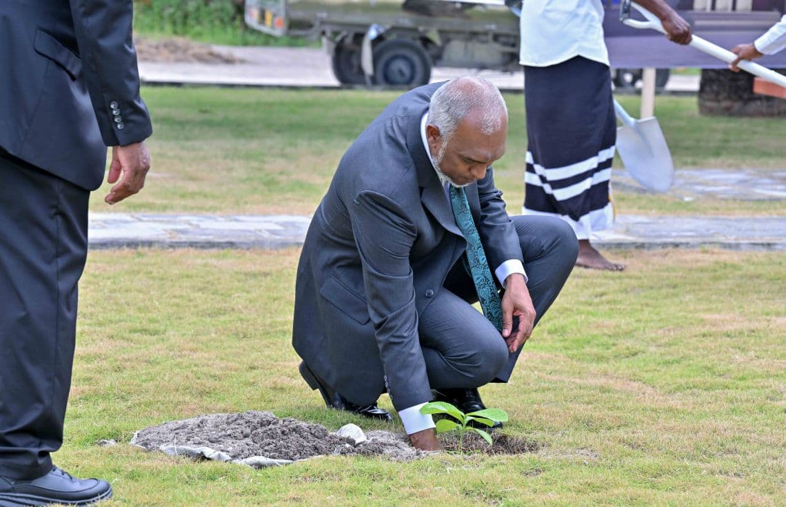 ރައީސުލްޖުމްހޫރިއްޔާ ގަހެއް އިންދަވަނީ. / ފޮޓޯ: ރައީސް އޮފީސް