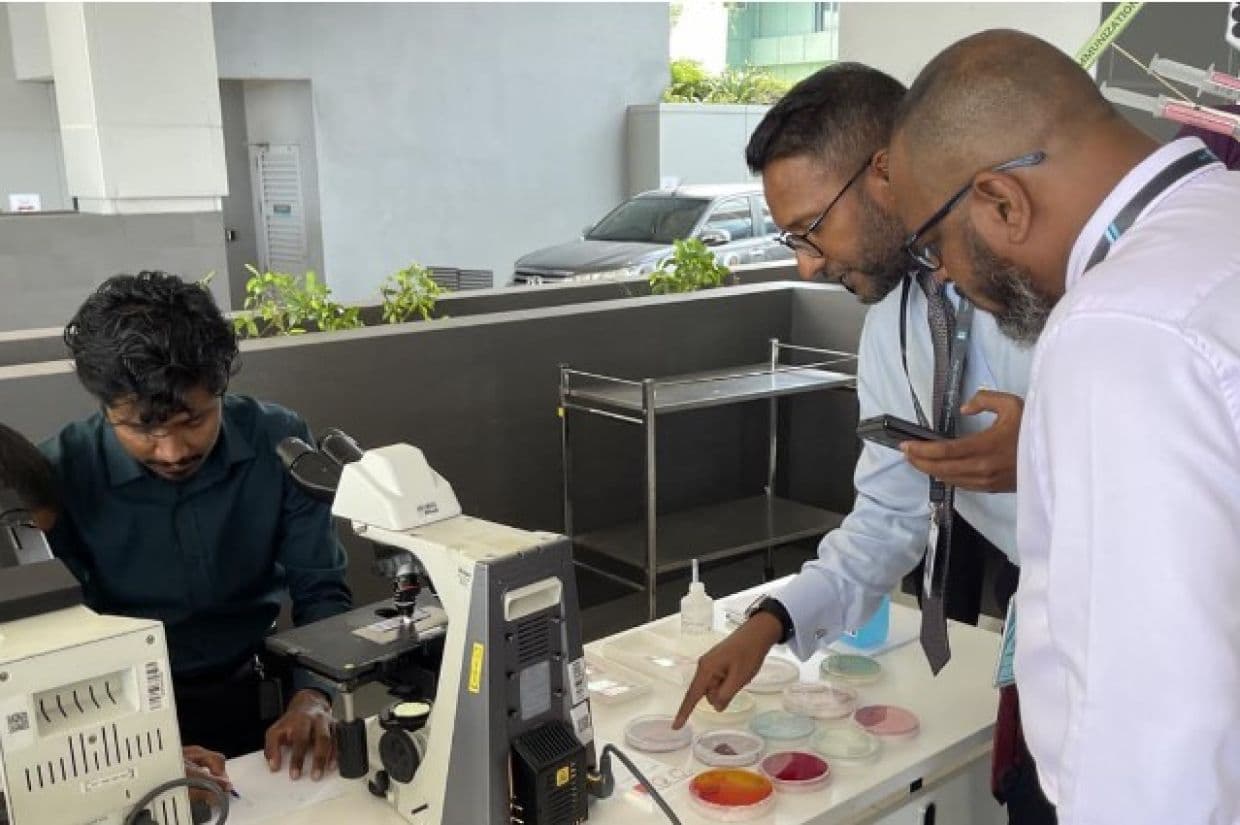 އައިޖީއެމް ހޮސްޕިޓަލްގެ ލެބޯޓަރީގައި ލޭގެ ސާމްޕަލް ތަޙުލީލު ކުރުމުގައި އެ ހޮސްޕިޓަލުގެ ޕްރޮފެޝަނަލުން ޙަރަކާތްތެރިވަނީ / ފޮޓޯ: އައިޖީއެމްއެޗް