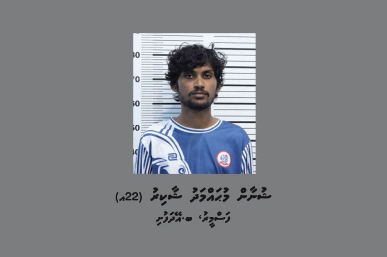 ހައިވޭގައި އެކްސިޑެންޓްވުމުން މަޑު ނުކޮށް ފިލި މީހެއް ހައްޔަރުކޮށްފި