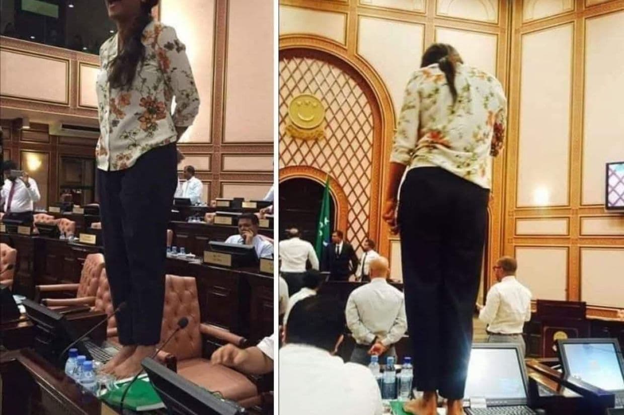 ޤާނޫނު އަސާސީގެ މައްޗަށް މާރިޔާ ދީދީ ފައިން އަރައިގެން - ޤާނޫނު އަސާސީގެ ދިފާޢުގައޭ ބުނެ އެމްޑީޕީން ނުކުންނަނީ މަހުޖަނުންގެ ދިފާޢުގައި.