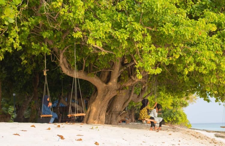ށ. ކަނޑިތީމު، ފޮޓޯ: ބީއެމްއެލް