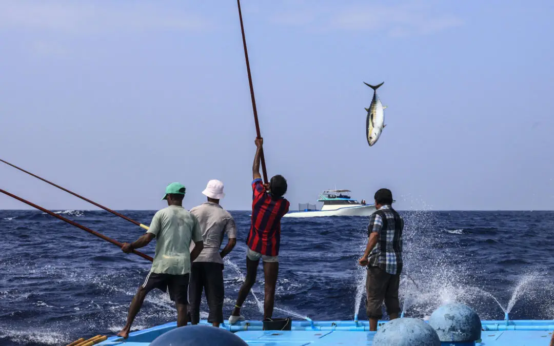 ފޮޓޯ؛ ރައުންޑް ޓްރިޕް ފައުންޑޭޝަން