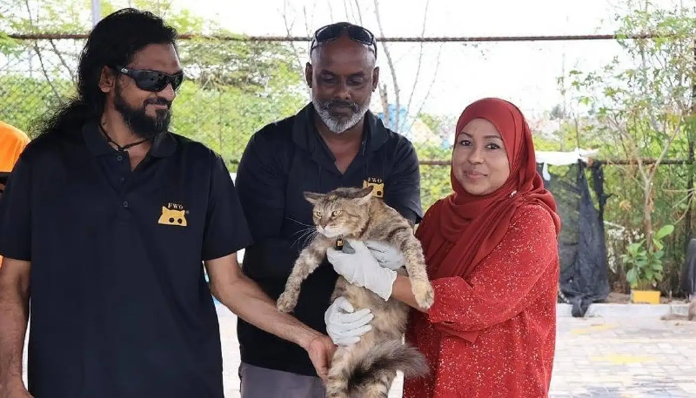 މާލޭގައި އުޅޭ ބުޅާތަކަށް ބޭސްދީ، ރަޖިސްޓްރީކުރަން ފަށައިފި