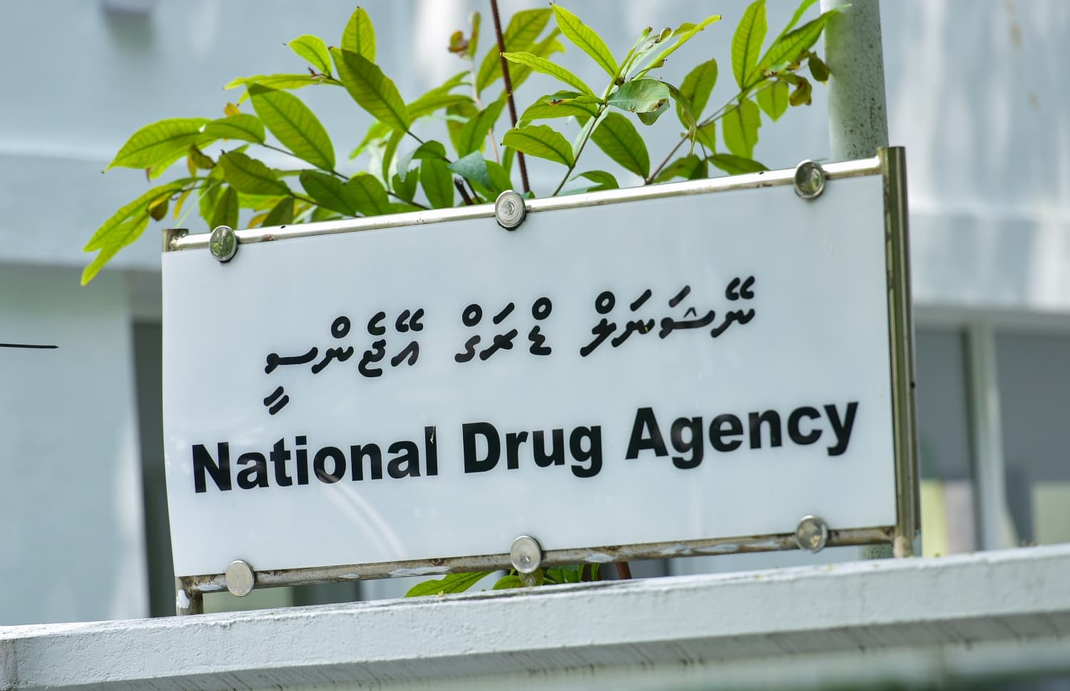 ފޮޓޯ: ނޭޝަނަލް ޑްރަގް އެޖެންސީ (އެންޑީއޭ)