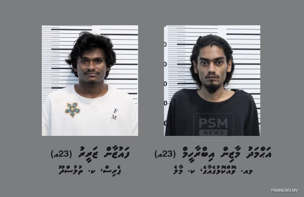 ހައްޔަރު ކުރެވުނު ދެމީހުން