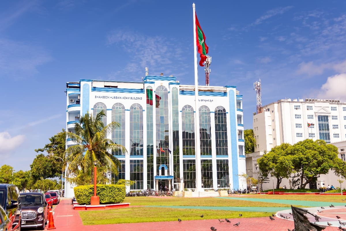 ޕޯންގްރަފީ ހިއްސާކުރި ޗެނަލްތަކަށް ދެމިލިއަން ރުފިޔާ، 240،000+ ފޮޓޯ