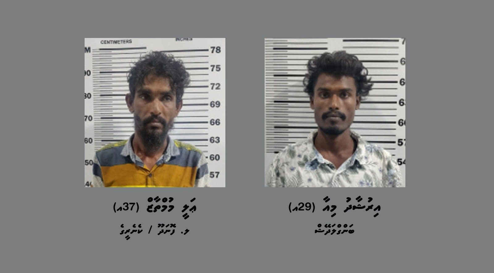 ގއ. ވިލިނގިއްޔަށް މަސްތުވާތަކެތި އެތެރެކުރަން އުޅުނު ދެމީހުން.