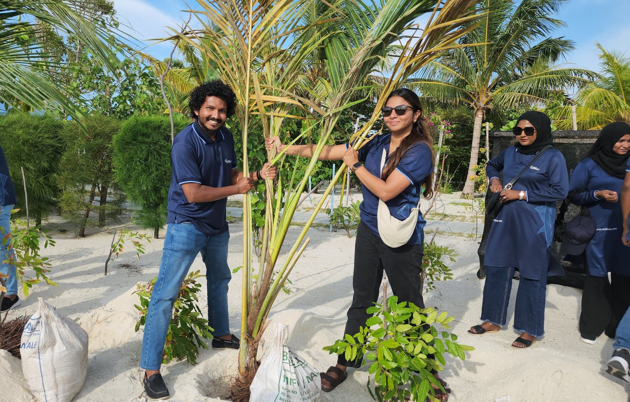 ފޮޓޯ: މިފްކޯ